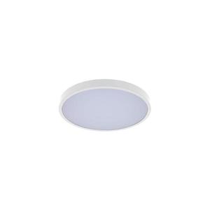 Rabalux Rabalux 71427 - LED Koupelnové stropní svítidlo ALENZO LED/24W/230V IP44 bílá obraz