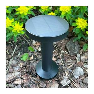 Zuma Line Zuma Line DT33611 - LED Solární lampa CARLI LED/2W/2000 mAh IP44 černá obraz