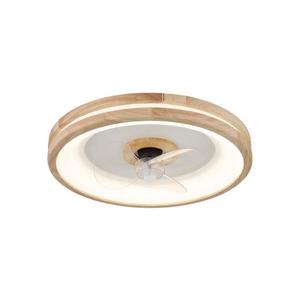 GLOBO 03650 obraz