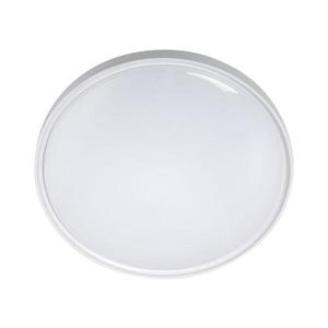 LED Stropní svítidlo LED/36W/230V pr. 40 cm bílá obraz