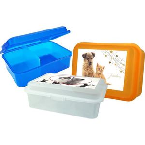 Plastový svačinový box s přepážkou MIX mazlíčci 18x13x7cm obraz