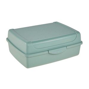 Keeeper Plastový svačinový box 30x20x8, 5cm severská zelená obraz