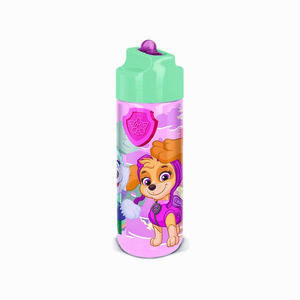 STOR Láhev na pití ECOZEN Paw Patrol 540ml obraz