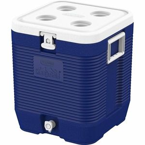 Duramax Chladící box Keep Cold 35 l obraz
