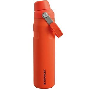 Stanley Aerolight IceFlow láhev na vodu Fast Flow 600 ml Tigerlily obraz