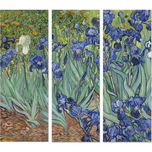 Obrazy v sadě 3 ks 20x50 cm Vincent van Gogh – Wallity obraz