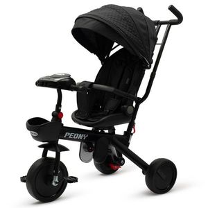 Dětská tříkolka Baby Mix Peony EVA černá obraz