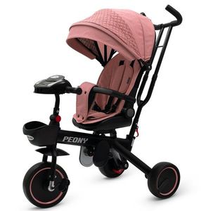 Dětská tříkolka Baby Mix Peony EVA růžová obraz