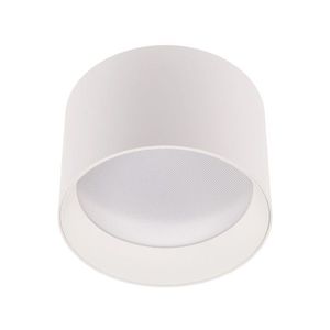 T-LED Bílé stropní LED svítidlo Alexo 120mm 12W IP54 CCT stmívatelné 105140 obraz