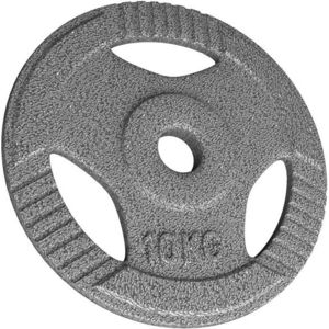 88967 Physionics Litinový kotouč, 10 kg, 31 mm obraz