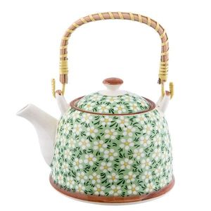 Zelená porcelánová konvička s kvítky a se sítkem - Ø 18*14*12 cm / 0, 7L 6CETE0023 obraz