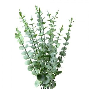 Dekorace zelená umělá rostlina eucalyptus - 10*8*50 cm 6PL0278 obraz