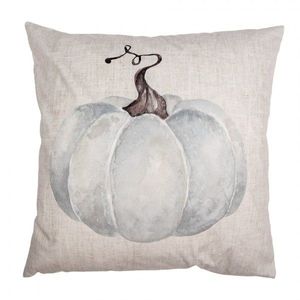 Béžovo-šedý povlak na polštář s dýní Country Style Pumpkin - 45*45 cm CSP21 obraz