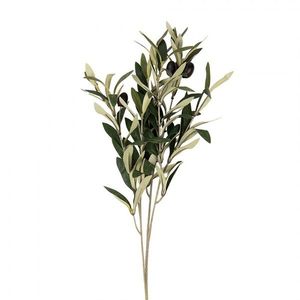 Dekorace umělá větvička olivovník s olivami Olea Tree - 10*10*55 cm 6PL0371 obraz