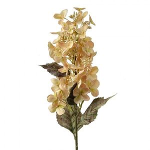 Dekorace béžová umělá květina hortenzie - 71 cm 5PL0162Y obraz