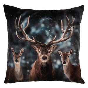Granitový povlak na polštář s jelenem Deer - 45*45 cm KT021.411 obraz