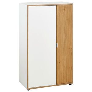 Livetastic SKŘÍŇ NA ŠANONY, divoký dub, bílá, barvy dubu, 67/112/35 cm obraz