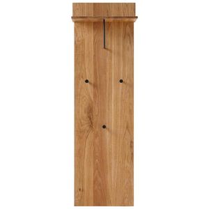 XXXL ŠATNÍ PANEL, barvy dubu, dub, 42/135/20 cm obraz