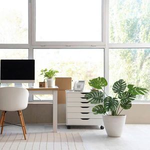 MID.YOU UMĚLÁ ROSTLINA monstera obraz