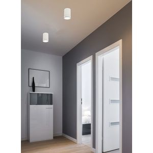 Stropní svítidlo 1x15W gu10 bílé matné obraz