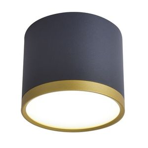 Stropní svítidlo TUBA zlaté + černé LED 9W 4000K obraz