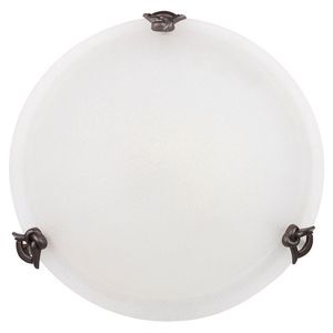 Stropní nástěnná lampa sklo 60W E27 40cm Eva obraz
