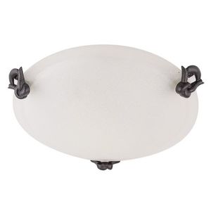 Nástěnné stropní svítidlo skleněné stropní svítidlo 60W E27 30cm Eva obraz