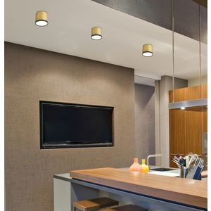 LED stropní trubicové svítidlo 9W zlaté 8, 8x7, 5cm obraz