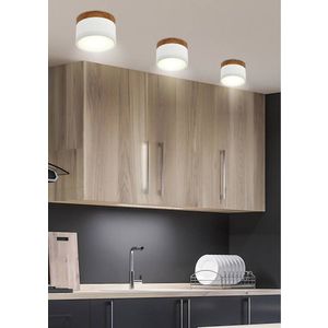 Stropní svítidlo bílé/dřevěné LED 9W trubice obraz