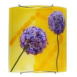 Nástěnná lampa 1X60W E27 vícebarevná GARLIC obraz