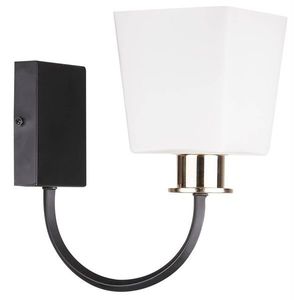 Nástěnná lampa 1xE27 24cm SCHUBERT černá obraz