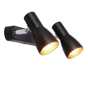 Nástěnná stropní lampa černá 2x40W Picardo obraz