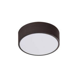 LED stropní svítidlo studená 10W 6500K stropní wenge Zigo obraz