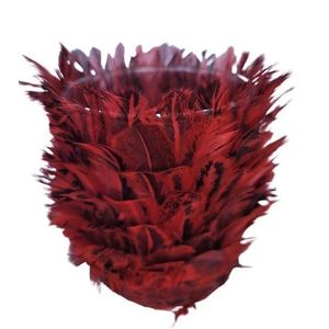 Skleněný svícen s vínovými peříčky Tommi – Ø 7*9 cm 7736217 obraz