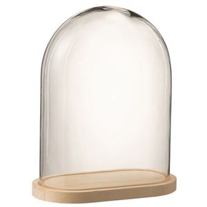 Přírodní dřevěný oválný podnos se skleněným poklopem Bell Jar - 33*19*42 cm 7777 obraz