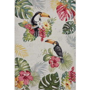 Venkovní koberec 120x180 cm Flair – Hanse Home obraz