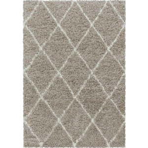 Světle hnědý koberec 160x230 cm Alvor – Ayyildiz Carpets obraz