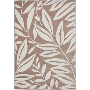 Světle hnědý koberec 160x230 cm Sorral Leaves – Catherine Lansfield obraz