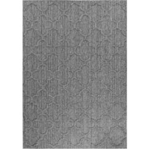 Šedý venkovní koberec 160x230 cm Patara – Ayyildiz Carpets obraz