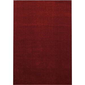 Vínový koberec 80x150 cm Ata – Ayyildiz Carpets obraz
