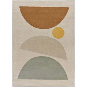 Koberec Universal Domus, 160 x 230 cm obraz