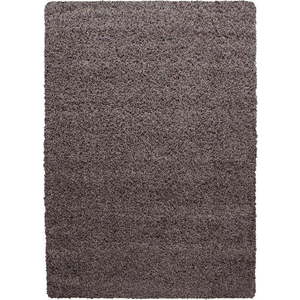 Hnědý koberec 140x200 cm Life – Ayyildiz Carpets obraz