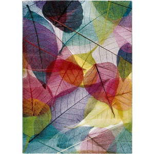 Koberec Universal Colors Multi, 160 x 230 cm obraz