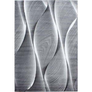 Tmavě šedý koberec 80x150 cm Parma – Ayyildiz Carpets obraz