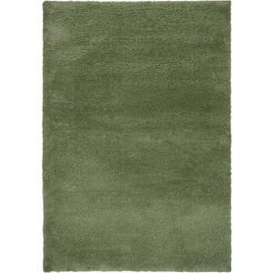 Zelený koberec 80x150 cm – Flair Rugs obraz