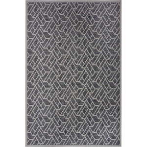 Tmavě šedý venkovní koberec 76x150 cm Clyde Eru – Hanse Home obraz