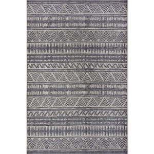 Šedý venkovní koberec 63x120 cm Clyde Loto – Hanse Home obraz
