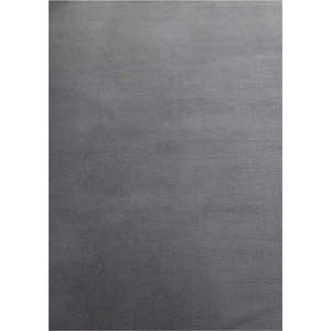Šedý pratelný koberec 80x150 cm Sky – Ayyildiz Carpets obraz