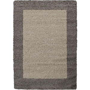 Hnědý koberec 160x230 cm Life – Ayyildiz Carpets obraz