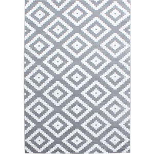 Světle šedý koberec 160x230 cm Plus – Ayyildiz Carpets obraz